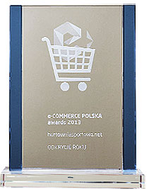 e-COMMERCE POLSKA 2013