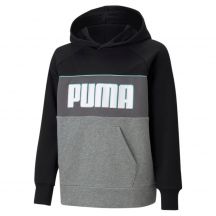 Bluza Puma Alpha Hoodie Jr 585892 01