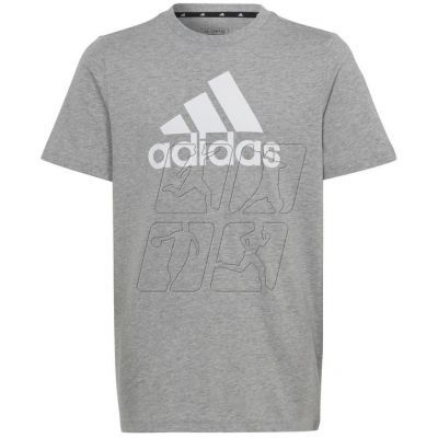 Koszulka adidas Big Logo Tee Jr HR6379