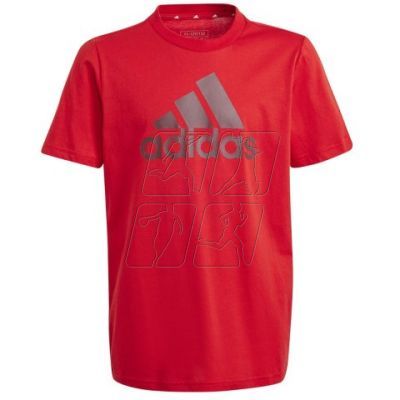 Koszulka adidas Big Logo Tee Jr IJ6262
