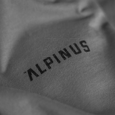 10. Koszulka Alpinus Breheimen M SI18006