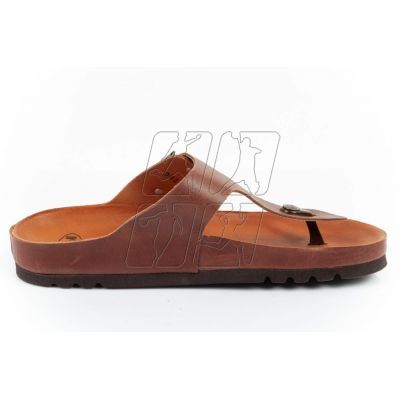 4. Japonki Scholl Jake M F306981011