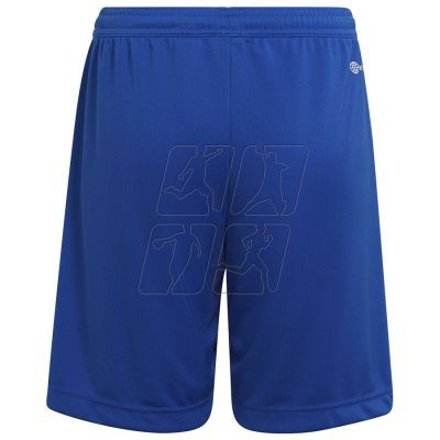 5. Spodenki adidas Entrada 22 Short Y Jr HG6291