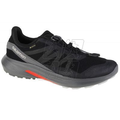 5. Buty do biegania Salomon Hypulse Gtx M 415959