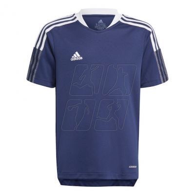 Koszulka adidas Tiro 21 Training Jersey Jr GM7573