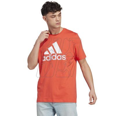 Koszulka adidas Big Logo SJ Tee M IC9358