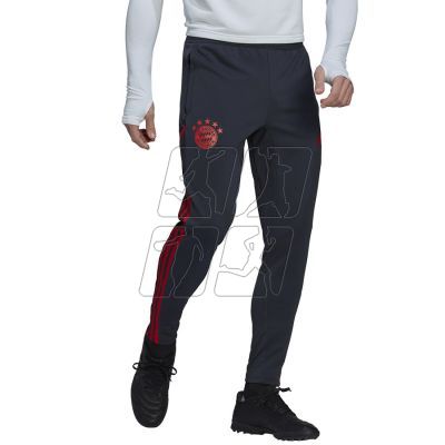 Spodnie adidas FC Bayern Training Panty M HG1352