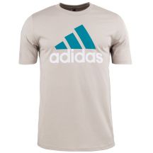 Koszulka adidas Big Logo SJ Tee M IJ8575