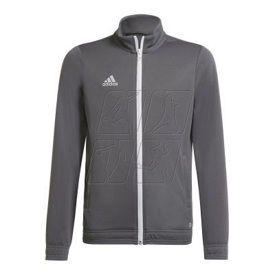 4. Bluza adidas Junior Entrada 22 Track Jr H57521