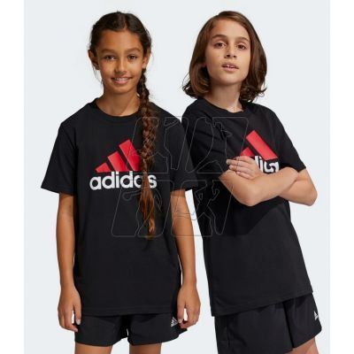 2. Koszulka adidas Big Logo 2 Tee Jr HR6369