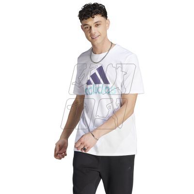 Koszulka adidas Big Logo SJ Tee M IJ8579