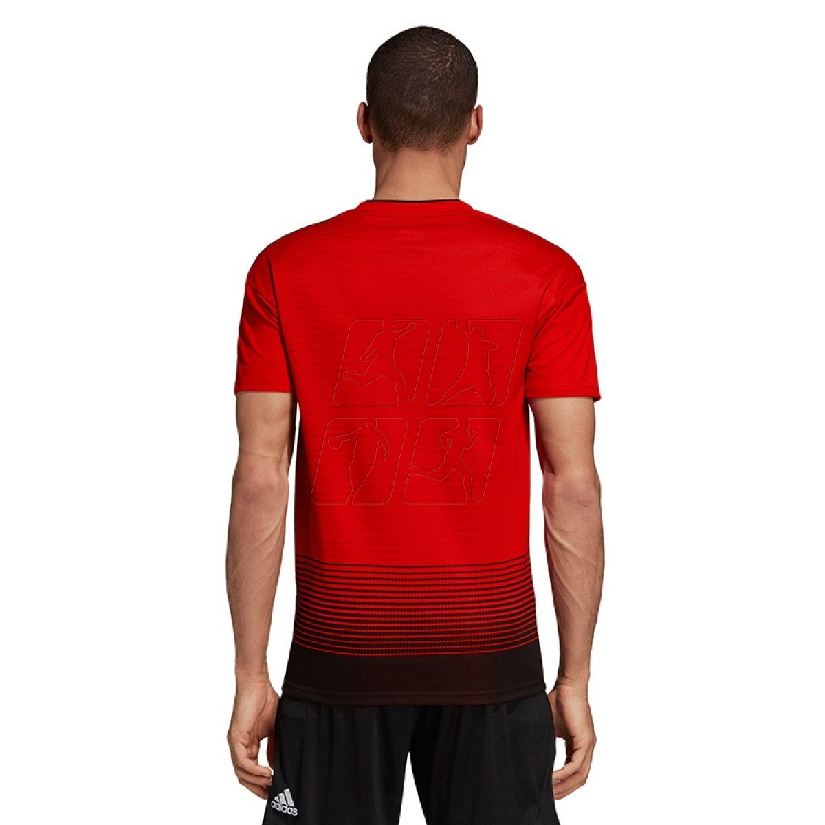 cg0040 adidas