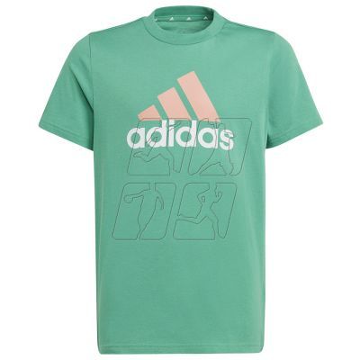 Koszulka adidas Big Logo 2 Tee Jr IB8776
