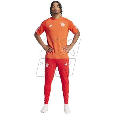 5. Koszulka adidas FC Bayern CO Tee M IQ0601