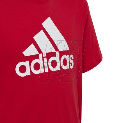 3. Koszulka adidas Big Logo Tee Jr IC6856