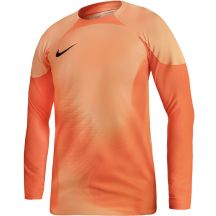 Koszulka bramkarska Nike Gardien IV Goalkeeper JSY M DH7967 819