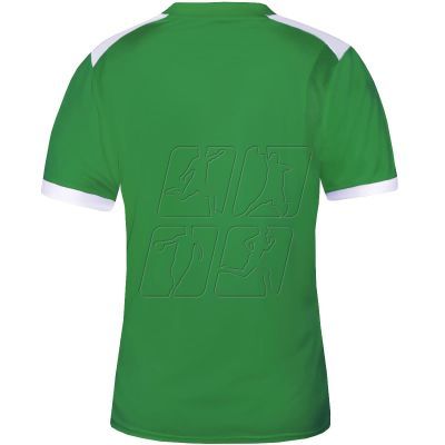 3. Koszulka piłkarska Zina Tores Jr 00508-215 Zielony 