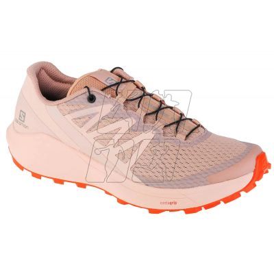 5. Buty Salomon Sense Ride 4 W 414503