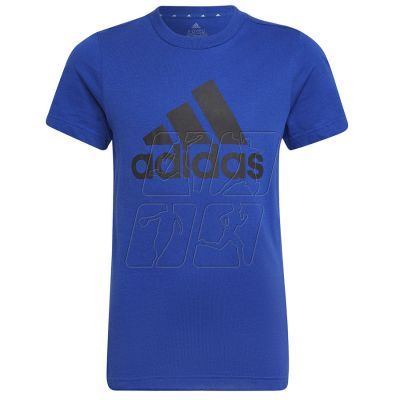 6. Koszulka adidas Big Logo Tee Jr HP0840