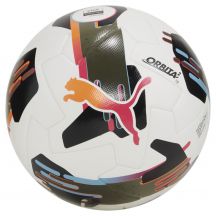 Piłka nożna Puma Orbita 2 TB FIFA Quality Pro 084323 01