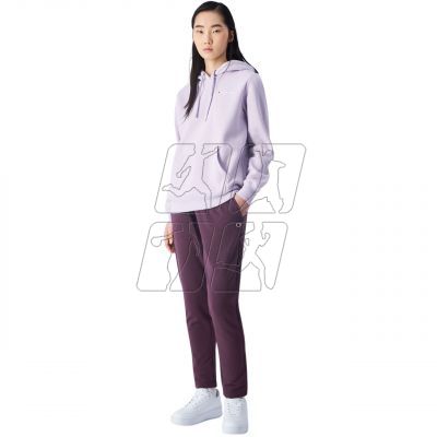 3. Bluza Champion Hooded W 117530 VS057