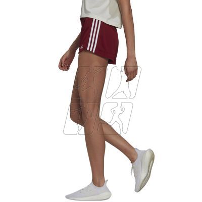 3. Spodenki adidas Pacer 3-Stripes Knit Shorts W HM3887