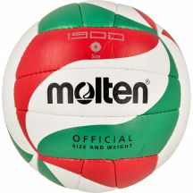 Piłka do siatkówki Molten V4M1900