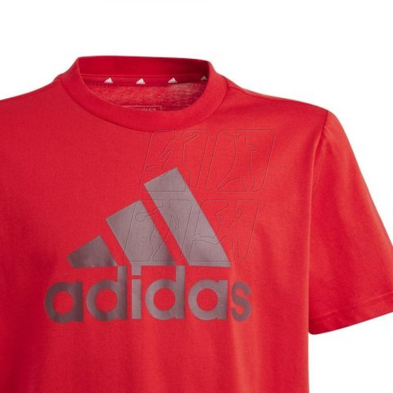 3. Koszulka adidas Big Logo Tee Jr IJ6262