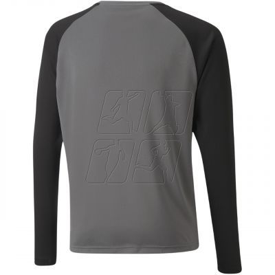 2. Bluza bramkarska Puma teamPacer GK LS Jersey Jr 704939 43