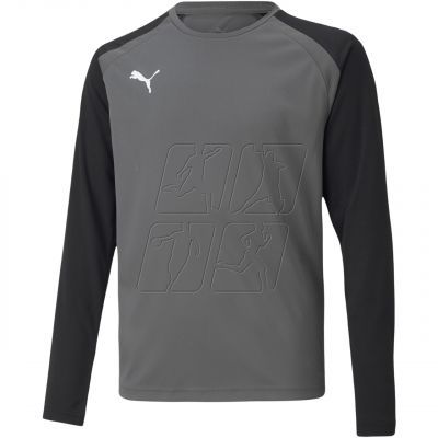 Bluza bramkarska Puma teamPacer GK LS Jersey Jr 704939 43