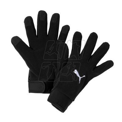 Rękawiczki Puma teamLiga 21 Winter Gloves M 041706-01