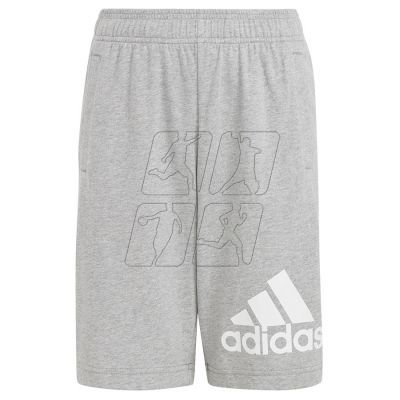 Spodenki adidas Essentials Big Logo Cotton Shorts Jr HY4720