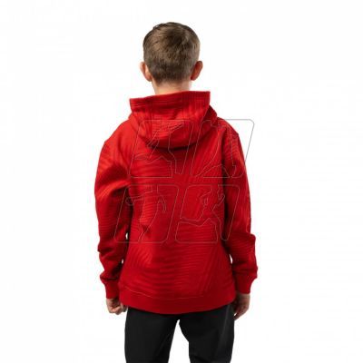 2. Bluza Bauer Graphic Stripe Hoody Jr 1062303