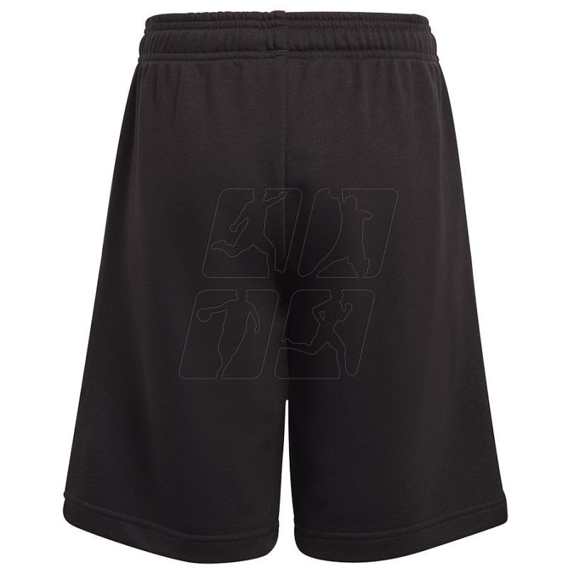 2. Spodenki adidas BL Shorts Jr HE9297