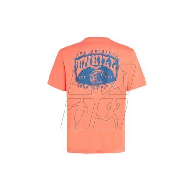 2. Koszulka O'Neill Beach Graphic T-Shirt M 92800613976