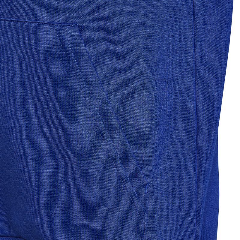 4. Bluza adidas Big Logo Essentials Hoody Jr HN1912