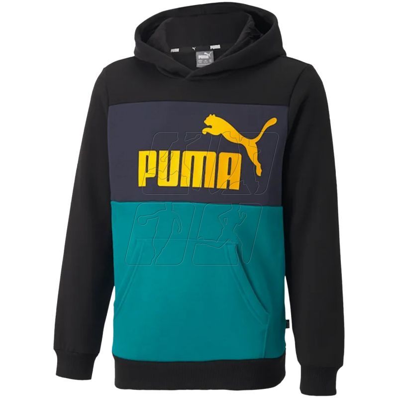 Bluza Puma Ess Block Hoodie FL B Jr 849081 27
