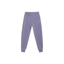 Spodnie 4F Women's Sweatpants H4L21-SPDD011 32S