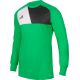 Koszulka bramkarska adidas Assita 17 M AZ5400 w kolorze zielonym, posiada ochraniacze w łokciach, ponadto została wyposażona w technologię climalite