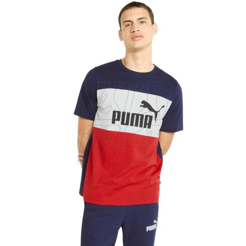 3. Koszulka Puma Essential Colorblock Tee M 848770 06
