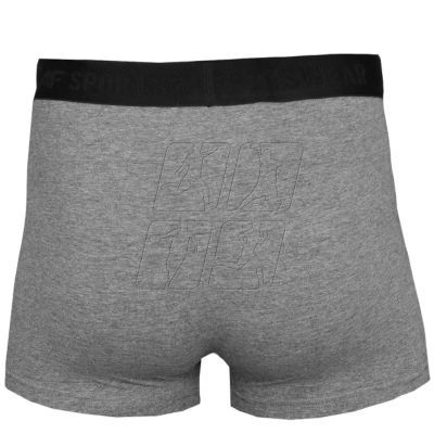 5. Bokserki 4F Men's Briefs M H4L22-BIM350-90M