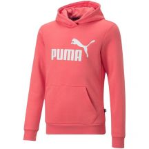 Bluza Puma ESS Logo Hoodie FL Jr 587031 58
