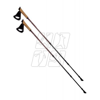 3. Kije Nordic walking Elbrus Cliogo 92800385398