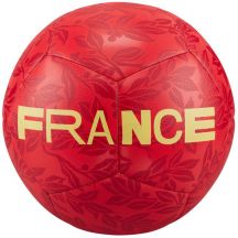 Piłka nożna Nike Francja DQ7285 657