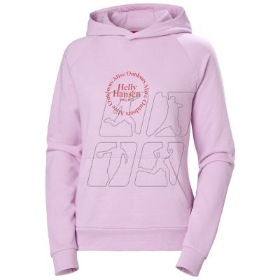 Bluza Helly Hansen Core Graphic Hoodie W 54239 052