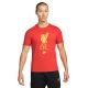 Koszulka Nike Liverpool FC M DD9738-612