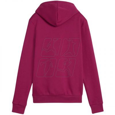 2. Bluza Puma ESS Logo Hoodie FL W 586789 52