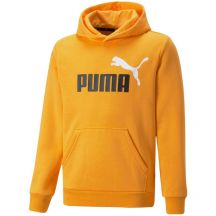 Bluza Puma ESS+ 2 Col Big Logo Hoodie Jr 586987 39