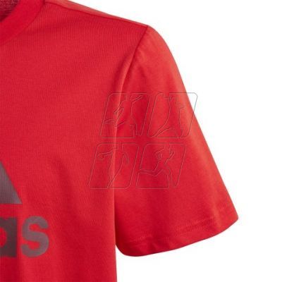 4. Koszulka adidas Big Logo Tee Jr IJ6262