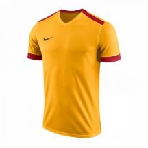 Koszulka piłkarska Nike Park Derby II M 894312-739